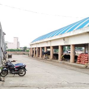 WhatsApp_Image_2026-01-21_at_12.33.05_PM_original